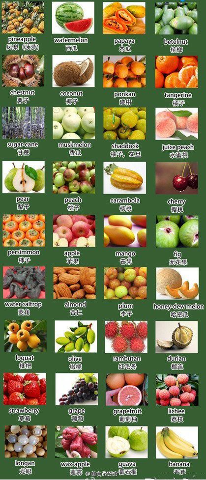 Fruit Vocabulary in English: A Comprehensive Guide